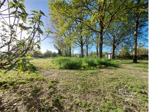 maison à la vente -   33720  LANDIRAS, surface 190 m2 vente maison - UBI420433999